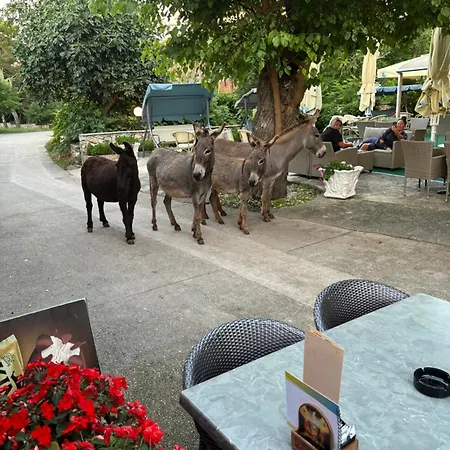 Appartement Do 8 Osoba 3 Sobe 2 Terase Silba