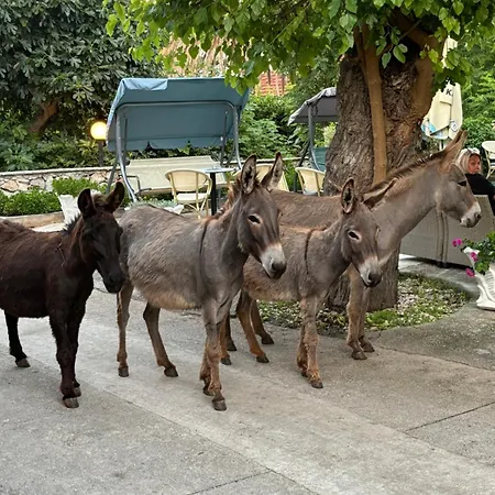 Do 8 Osoba 3 Sobe 2 Terase Appartement