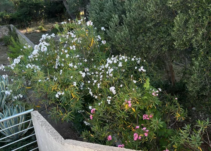 Apartmán Do 8 Osoba 3 Sobe 2 Terase *