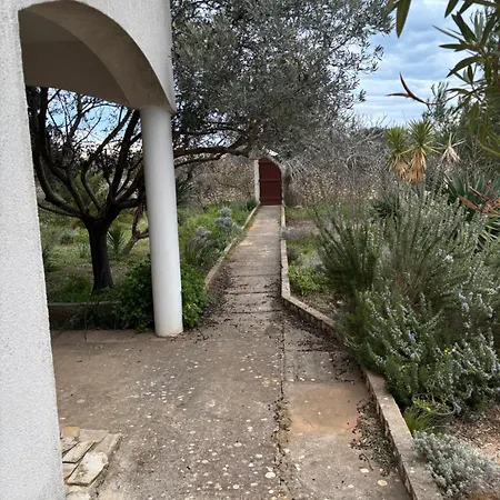 Daire Do 8 Osoba 3 Sobe 2 Terase Silba