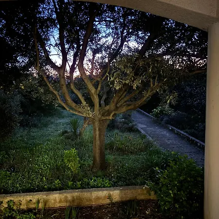 Daire Do 8 Osoba 3 Sobe 2 Terase Silba