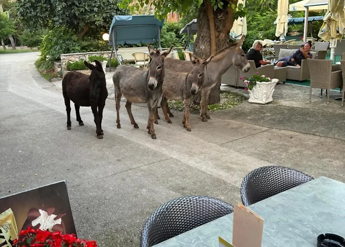 Апартаменты Do 8 Osoba 3 Sobe 2 Terase Силба