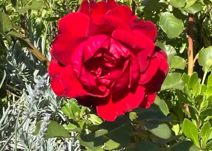 Do 8 Osoba 3 Sobe 2 Terase Апартаменты Силба