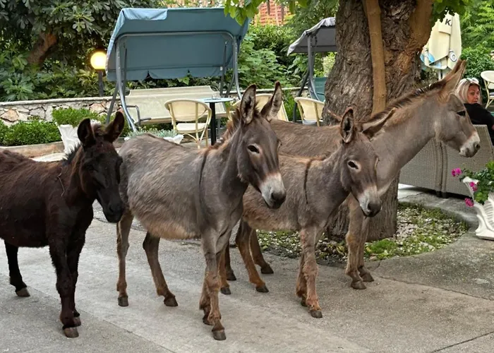 Do 8 Osoba 3 Sobe 2 Terase Апартаменты