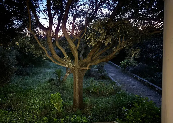 Апартаменты Do 8 Osoba 3 Sobe 2 Terase Силба